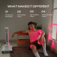 HealLite Mini 120 what makes it different feature infographic Biotastic India
