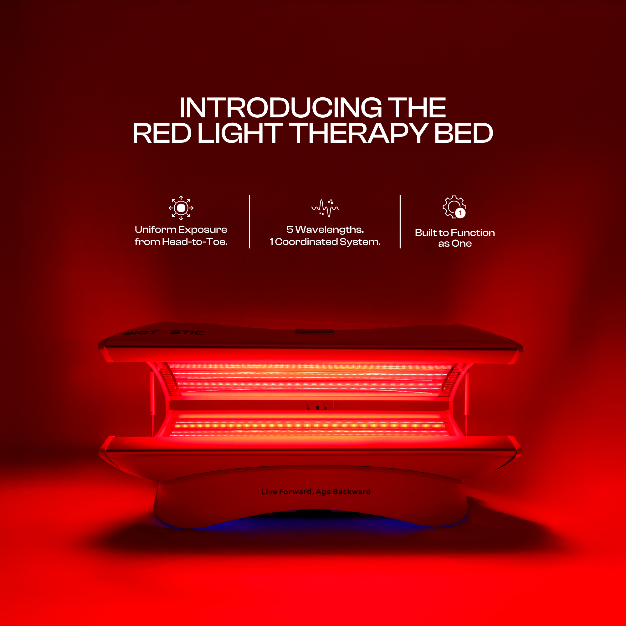 HealLite RLT Bed interior red light glowing introducing the RLT bed Biotastic India