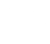 Systemic Blood Flow